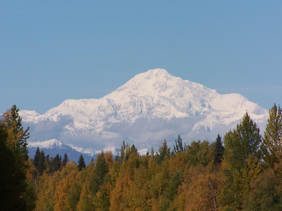 Denali Primrose Bed & Breakfast Healy Eksteriør bilde