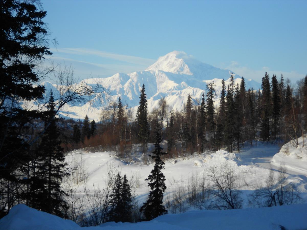 Denali Primrose Bed & Breakfast Healy Eksteriør bilde
