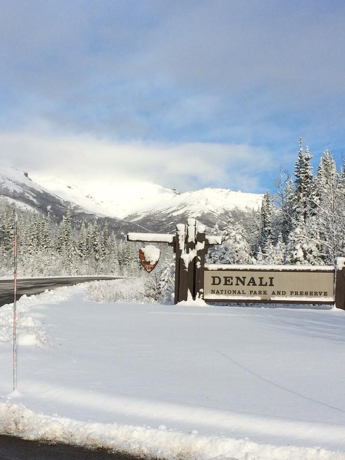 Denali Primrose Bed & Breakfast Healy Eksteriør bilde