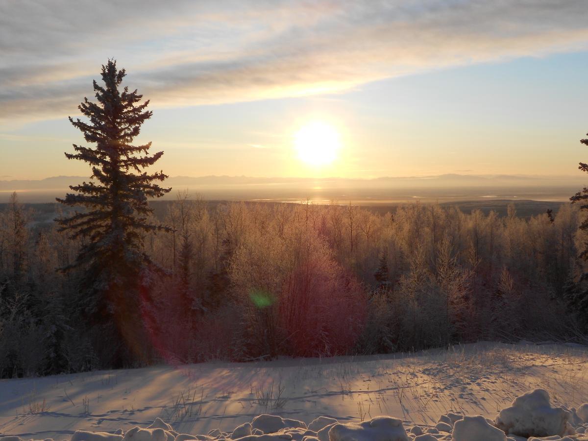 Denali Primrose Bed & Breakfast Healy Eksteriør bilde